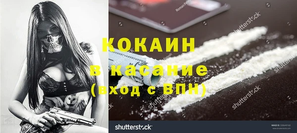 индика Бородино